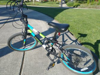 Guardian Bikes 20 inch Large Bike