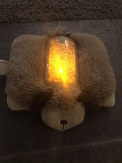 Nightlight pillow pet buddy.