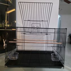 Birds Cage available