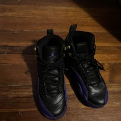  Air Jordan 12 Retro GS 'Field Purple