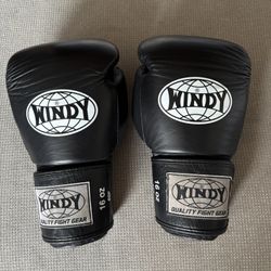 Windy Thai Boxing Gloves Pro 16oz