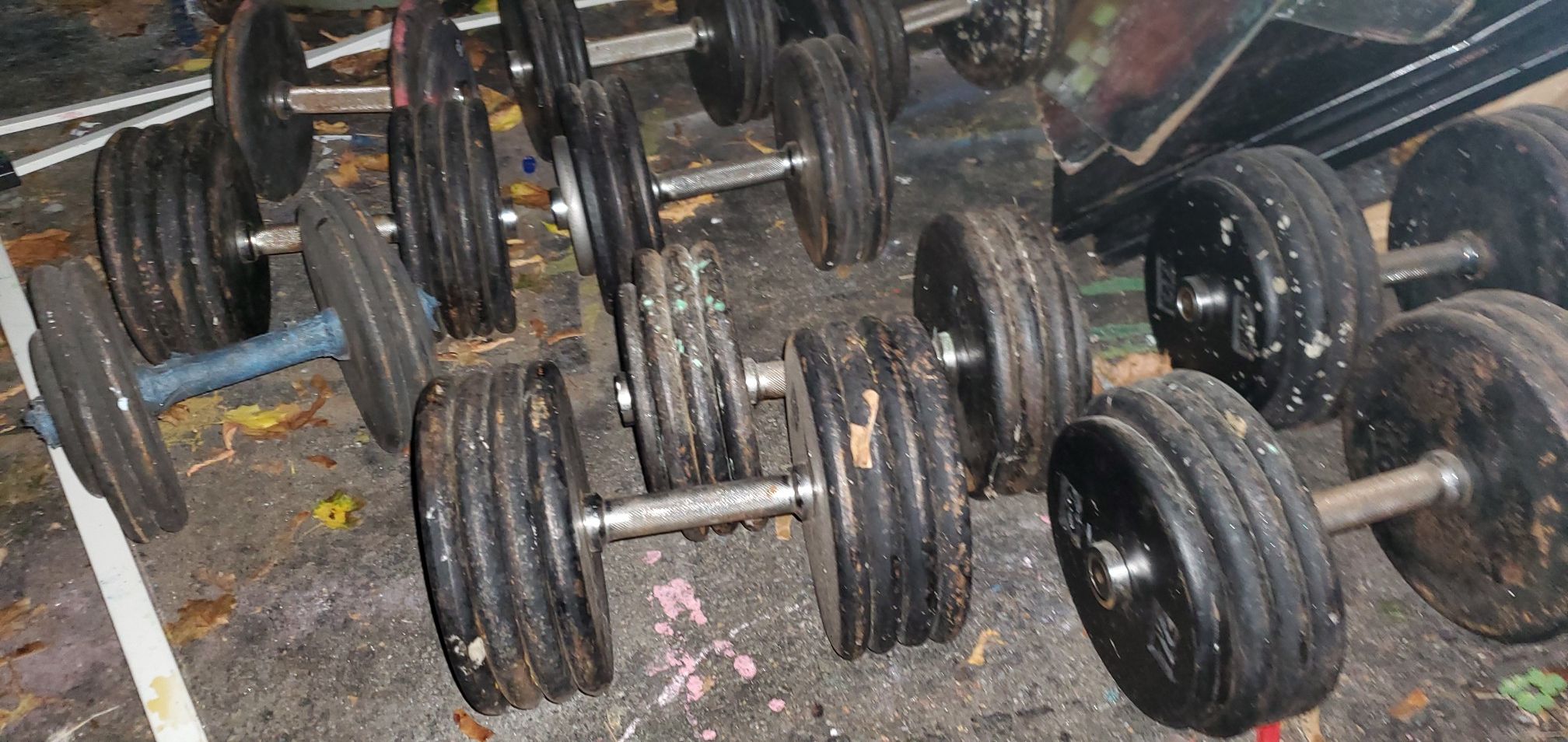 Free weights . Assorted pound weights 10 20 30 40 50 + llbs