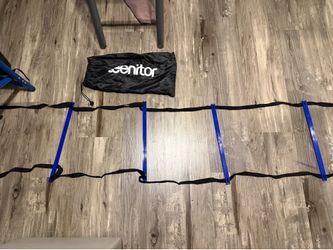 Agility training ladder
