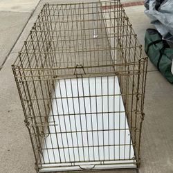 Gold Wire Dog Crate With White Removable Tray Bottom