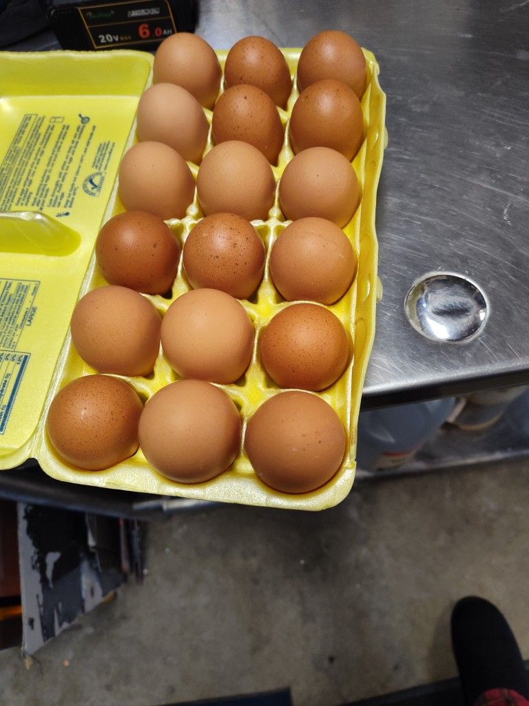 Farm Fresh Eggs