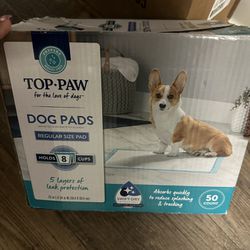 Dog Paw Pads and Holder