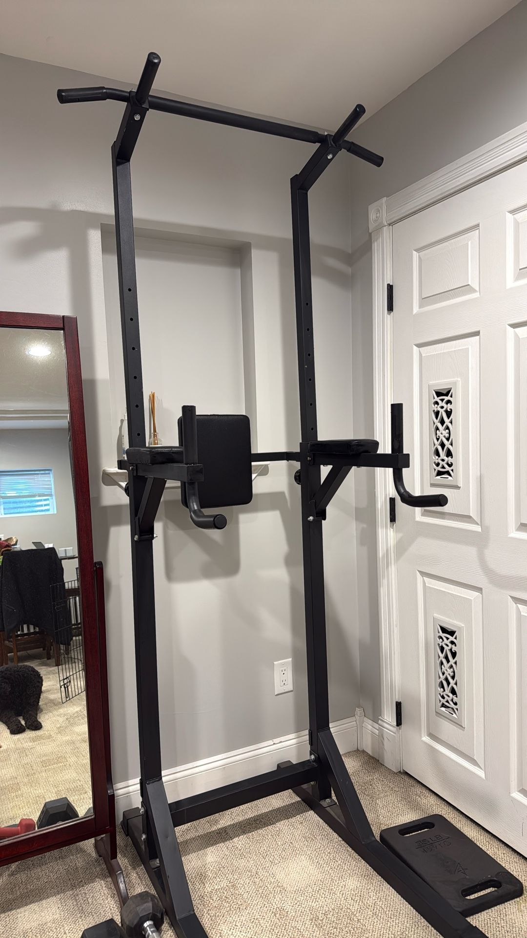 Pull Up / Dip Station