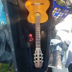 Acoustic Guitar With Hard Case