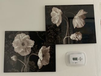 Black and White Floral Wall Art Set of 2