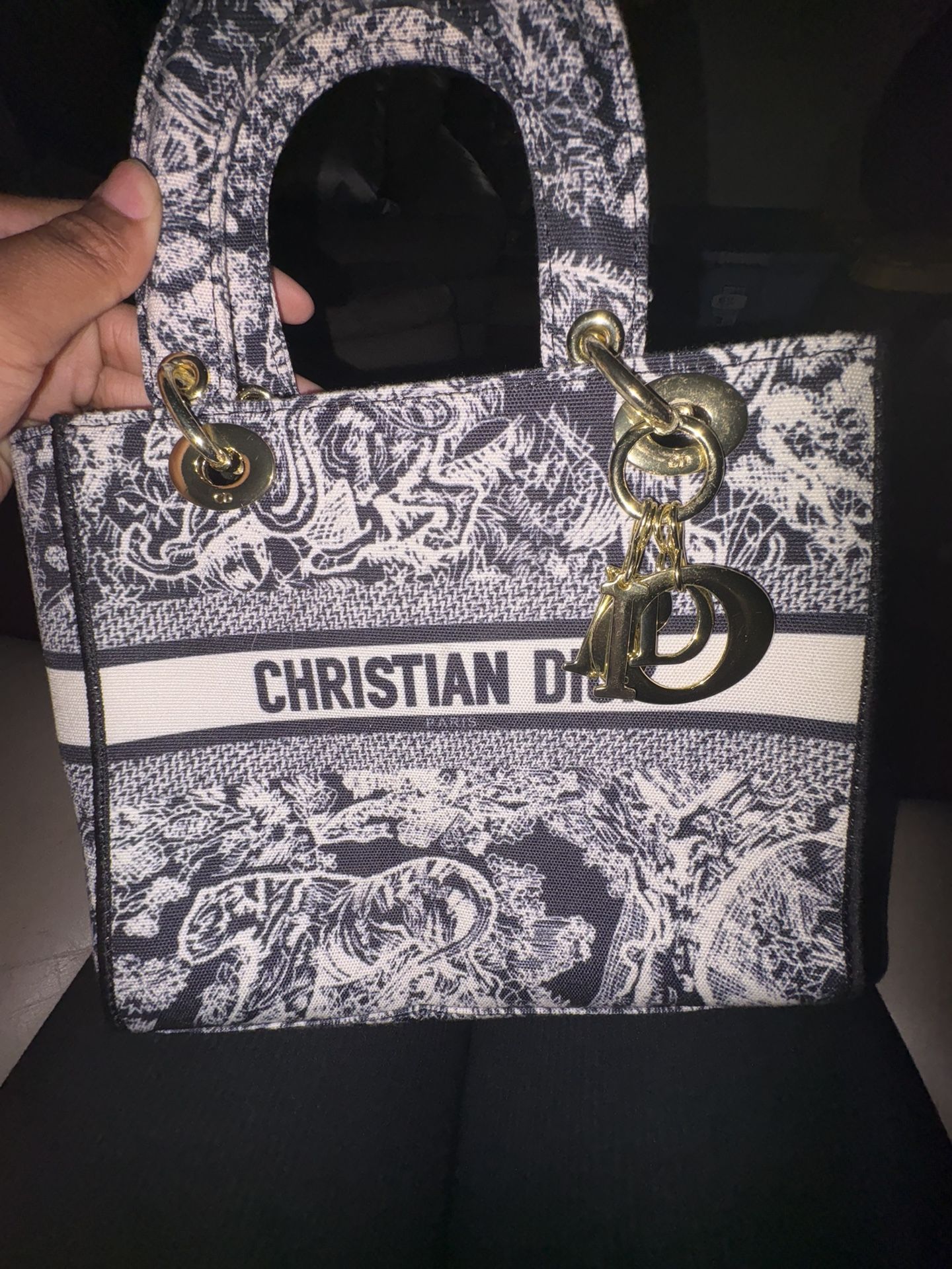 Christian Dior Book Tote mini bag