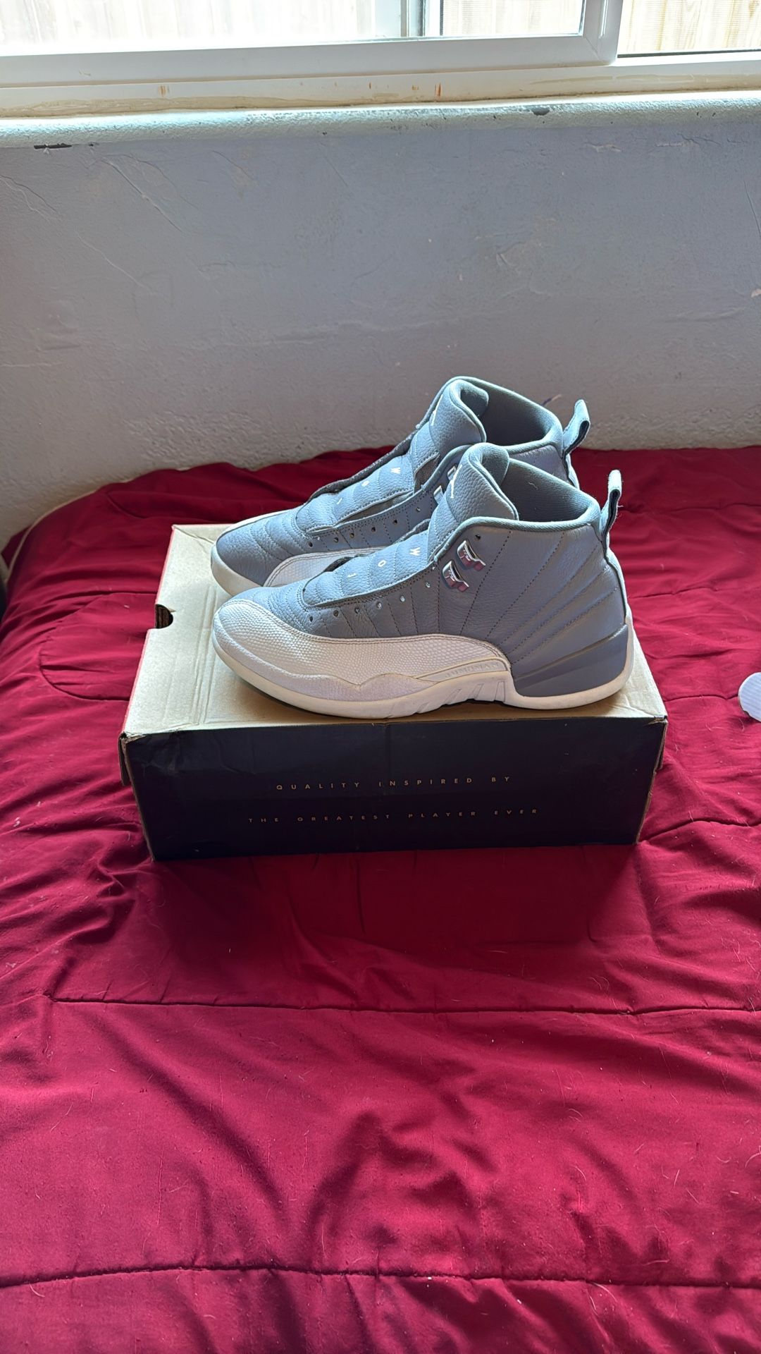 Jordan 12 Retro Stealth