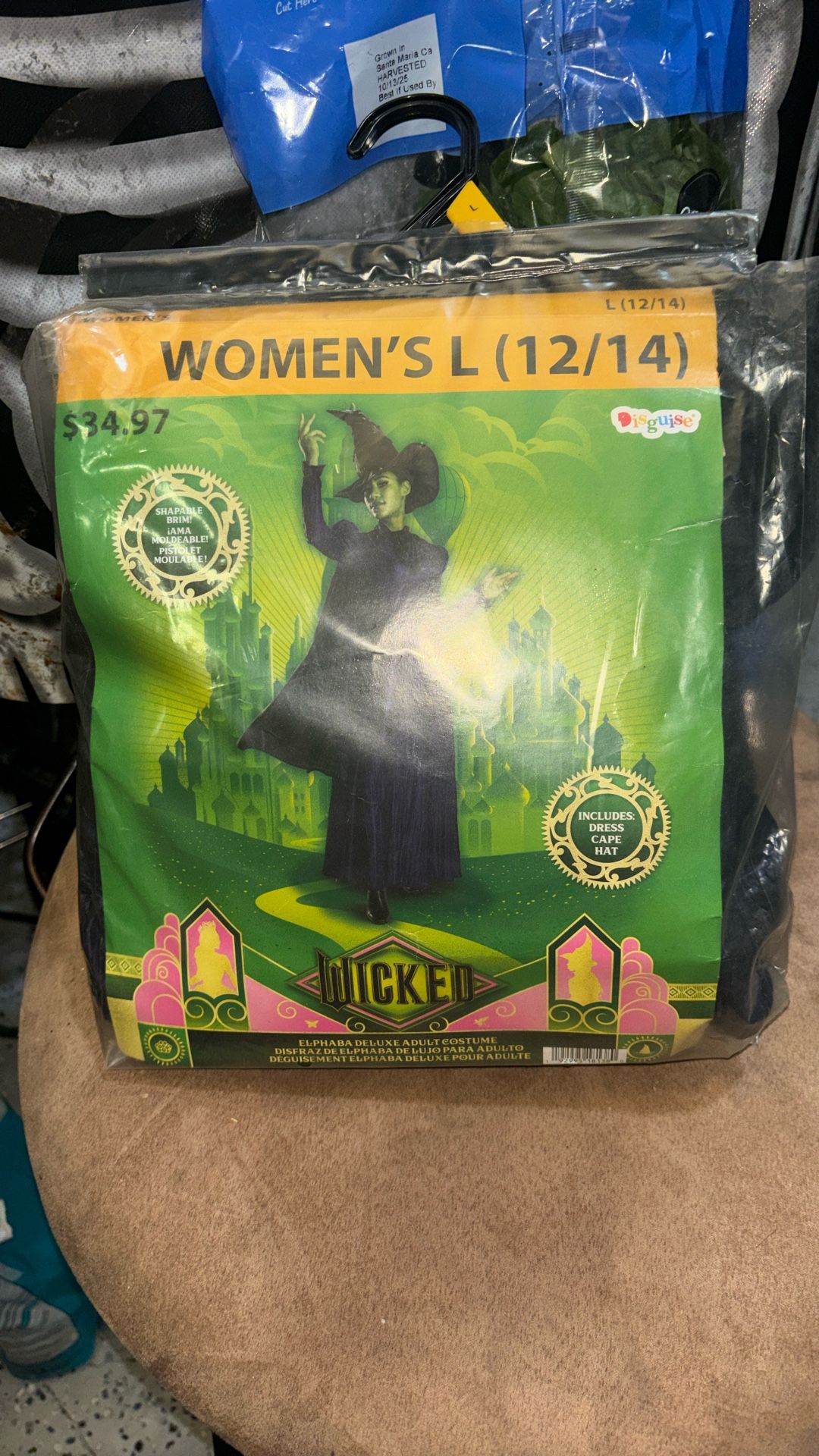 Halloween Wicked Costume