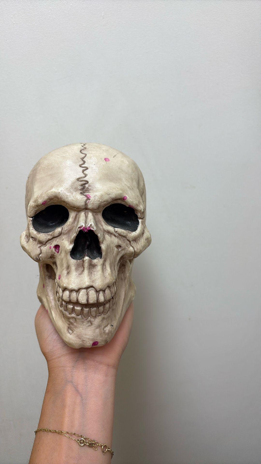 Seasons Skull