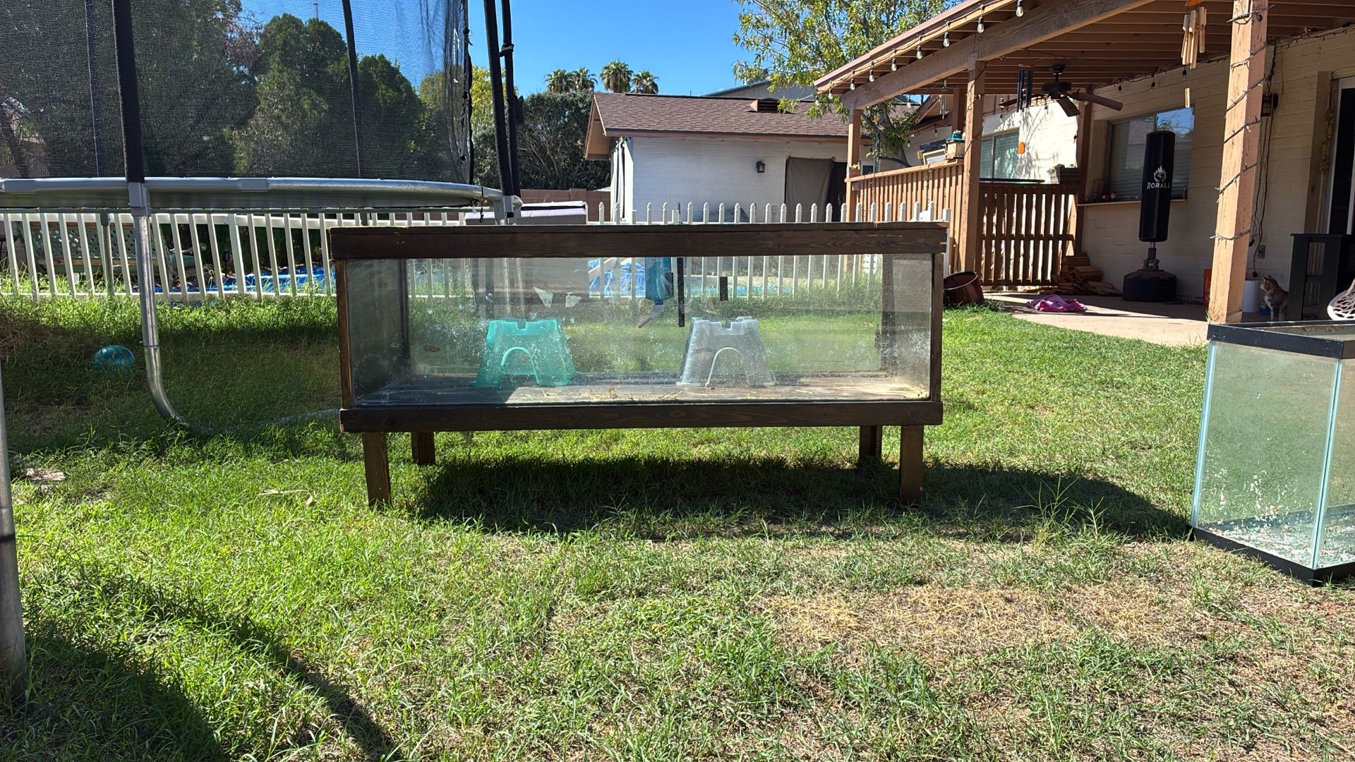 Small Animal Habitat