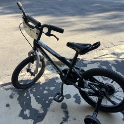 Schwinn Kid’s Bike