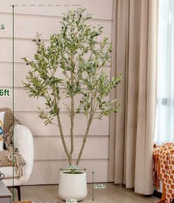Decorative plant