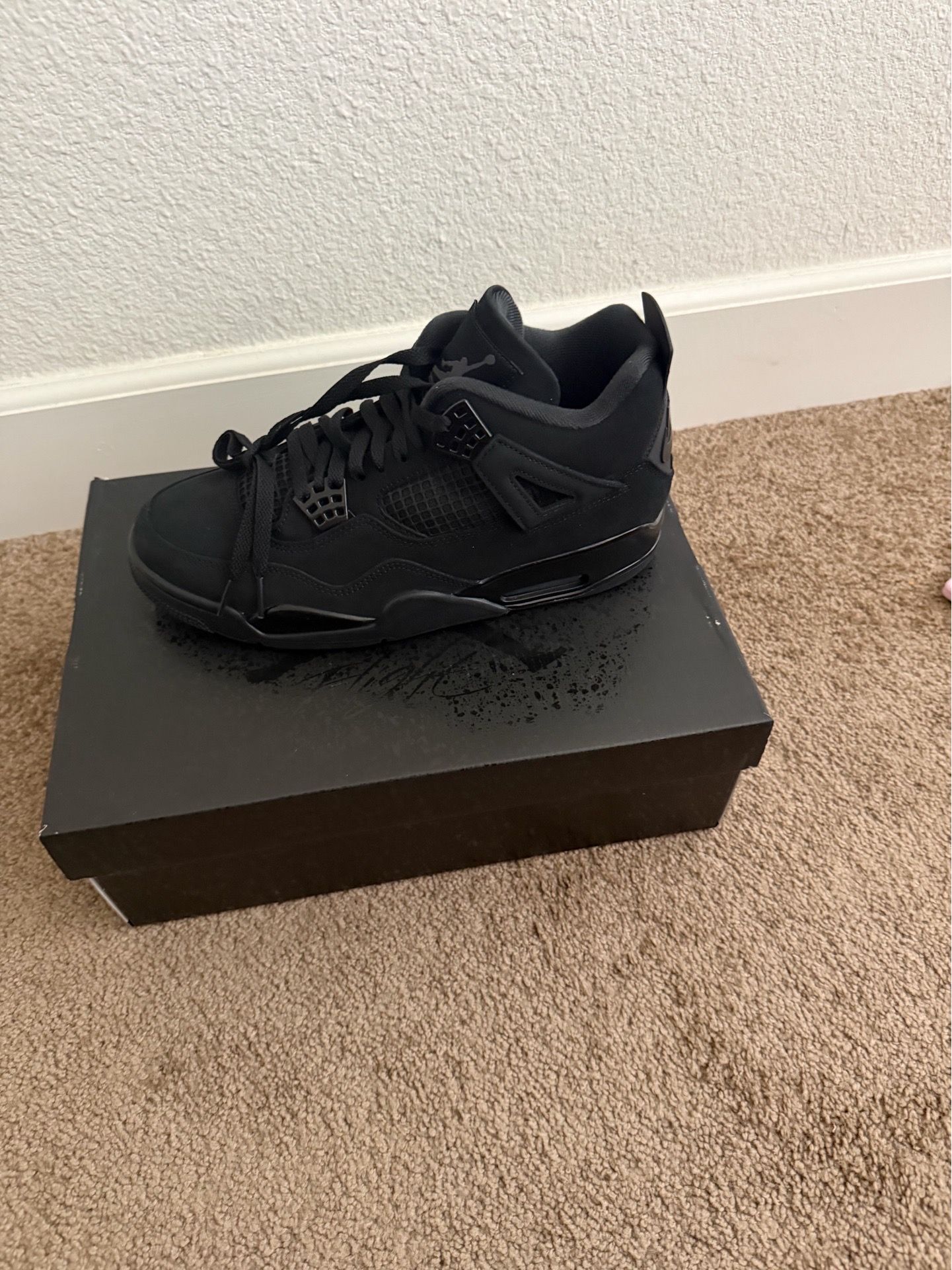 Air Jordan Retro Black Cats