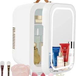 Mini Fridge With Mirror/Light