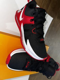 Lebron Witness VII