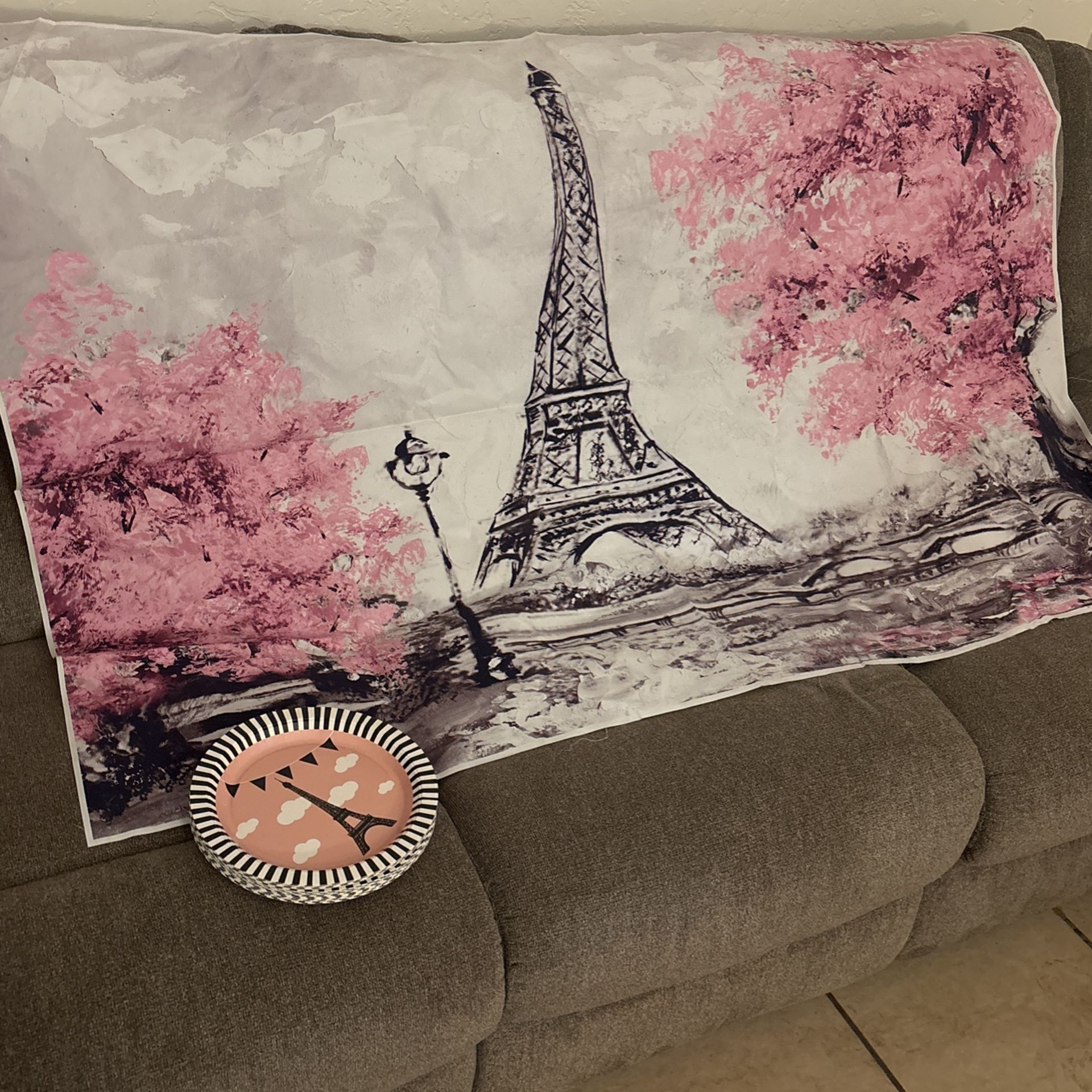 Paris Birthday Supplies