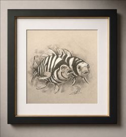 Pencil Drawing "Tropical fish" 11x14