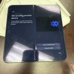 Google Pixel 9 Pro Fold 