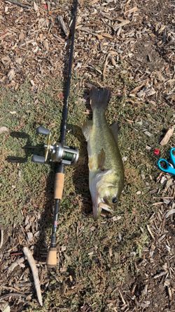 Rod&reel combo