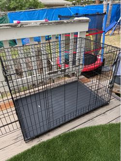 Huge dog kennel