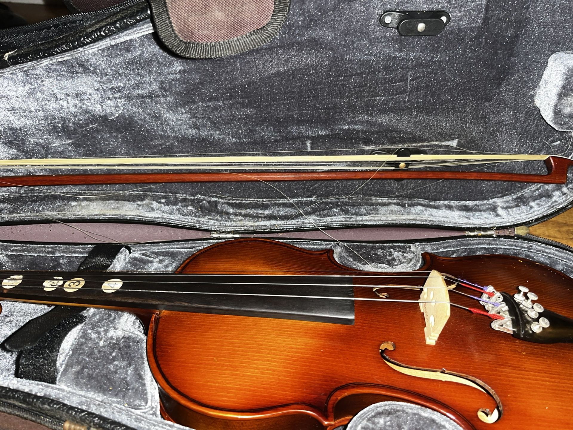Violin