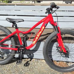 Salsa Timberjack 24 kids' mountain bike