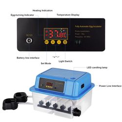 Egg incubator Automatic Turner for Hatching 12 eggs chicken 110V blue