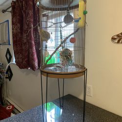 Bird Cage With Food And Accessories 