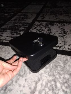 Mini Gun Safe 