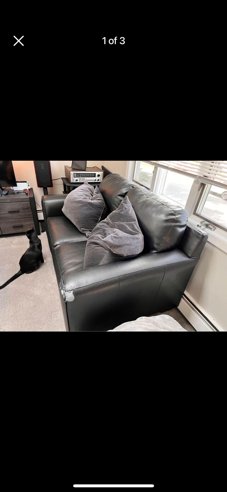Black Leather Couch