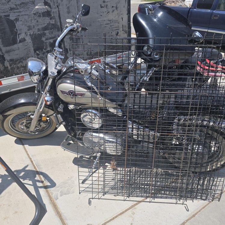 Pet Cat And Dog Supplies