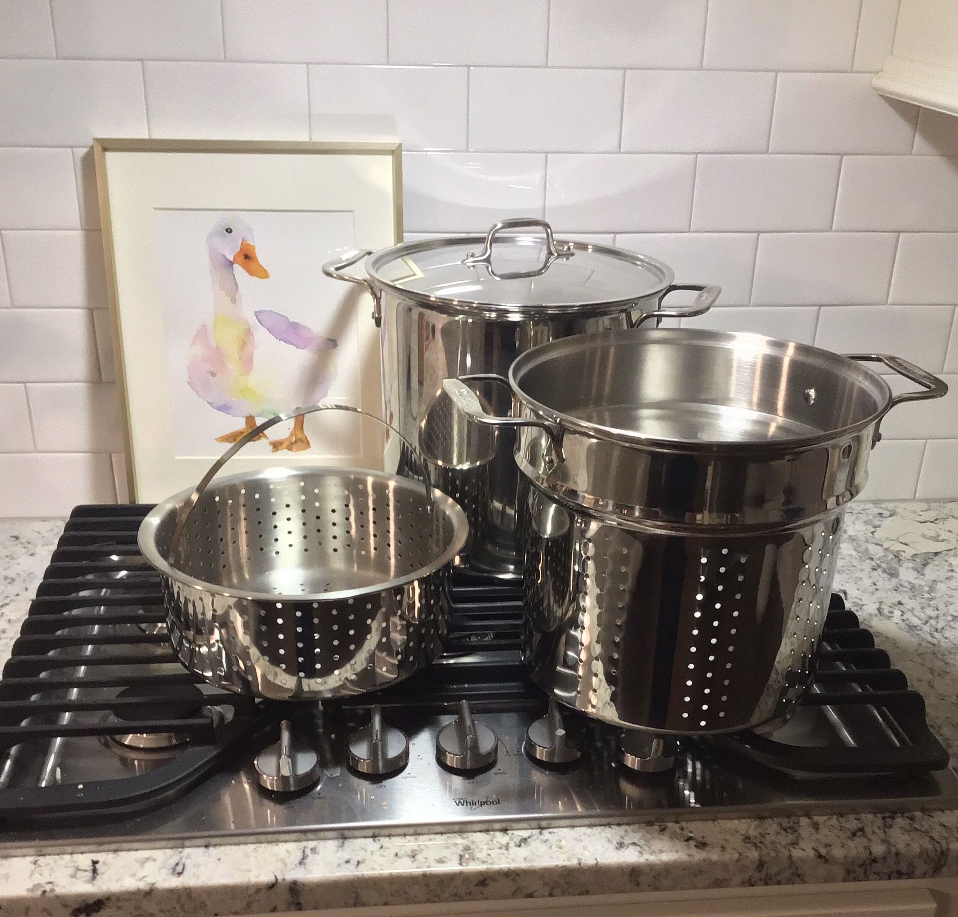 NEW All-Clad Stainless Steel 12 Qt. Covered Multi Pot with Pasta & Steamer Inserts