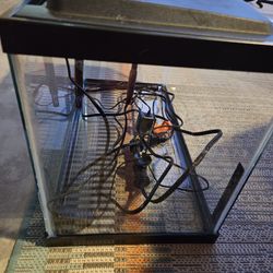 10 Gallon Fish Tank