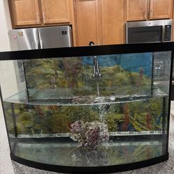 75 Gallon Fish tank
