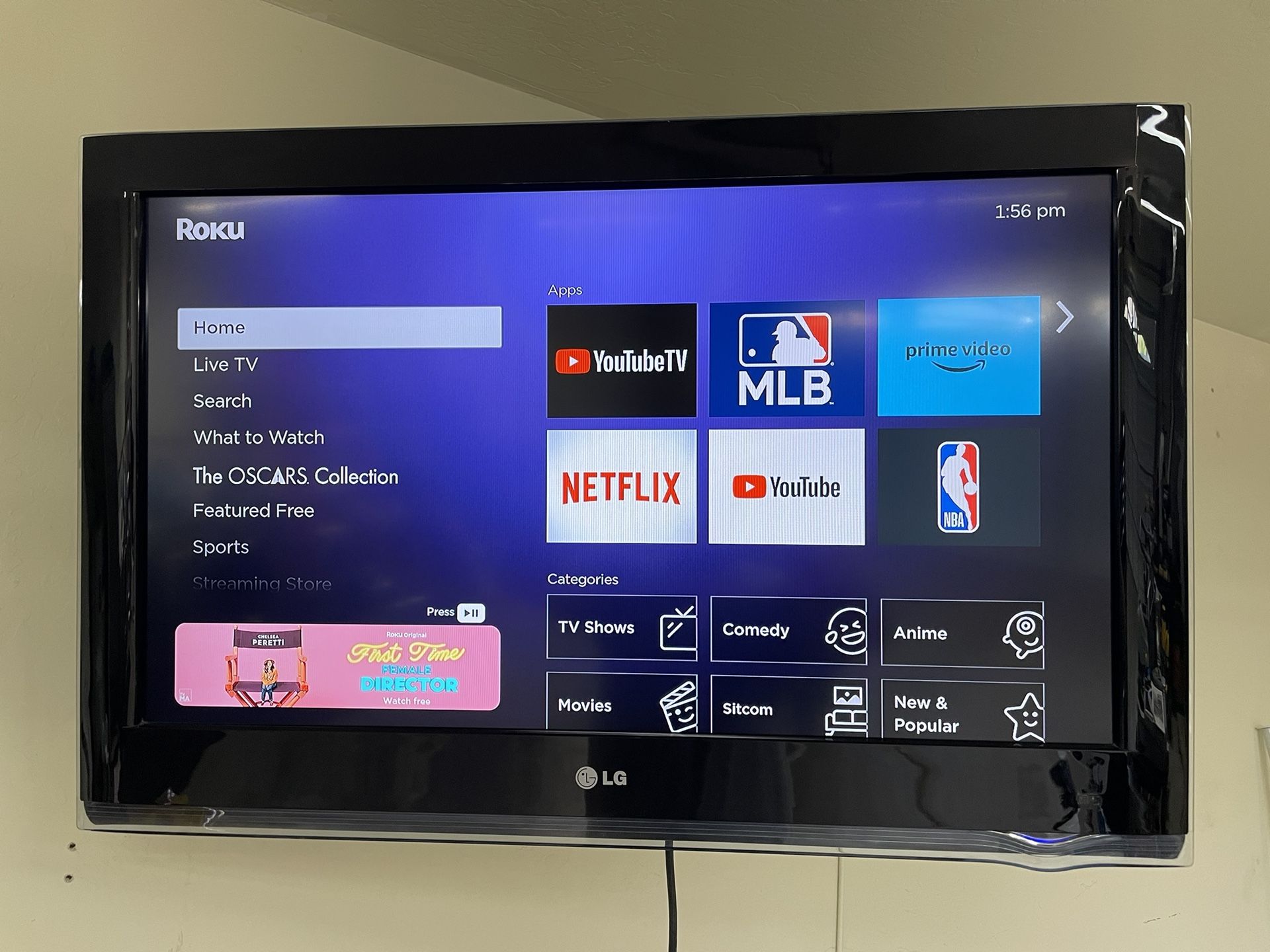 32” LG Garage TV with Roku Streaming Stick and Wall Mount