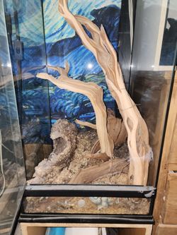 Bioactive terrarium