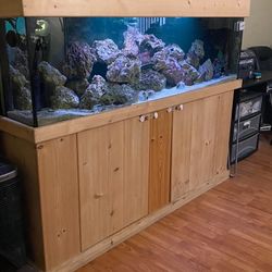 125 Gallon Salt Water Fish Tank
