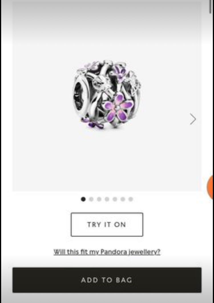 Pandora Charms