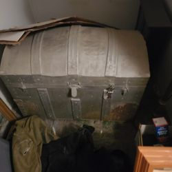 trunk