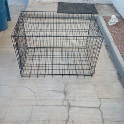 Dog Kennel