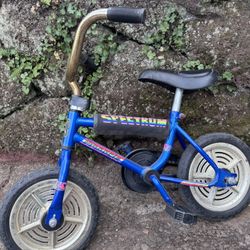 Vintage BMX Kids Bike Small Pinnacle Collectible 