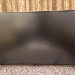 LG 43” Monitor