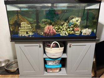 75 gallon tank and filter and stand