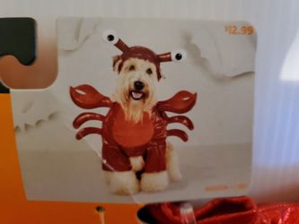 Halloween Costume For Dog
