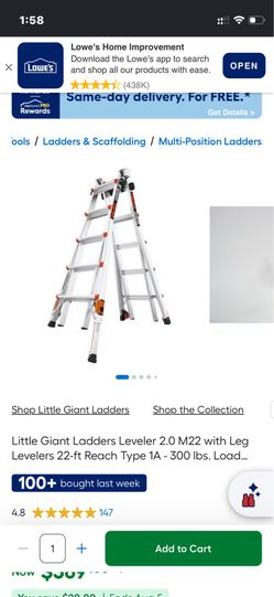 Little giant ladders