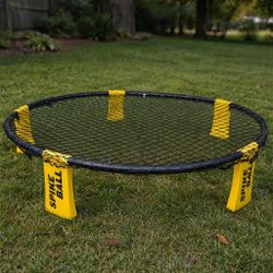 Spikeball Game